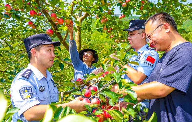 “民警助農(nóng)服務(wù)隊(duì)”將法律知識(shí)帶到村民身邊
